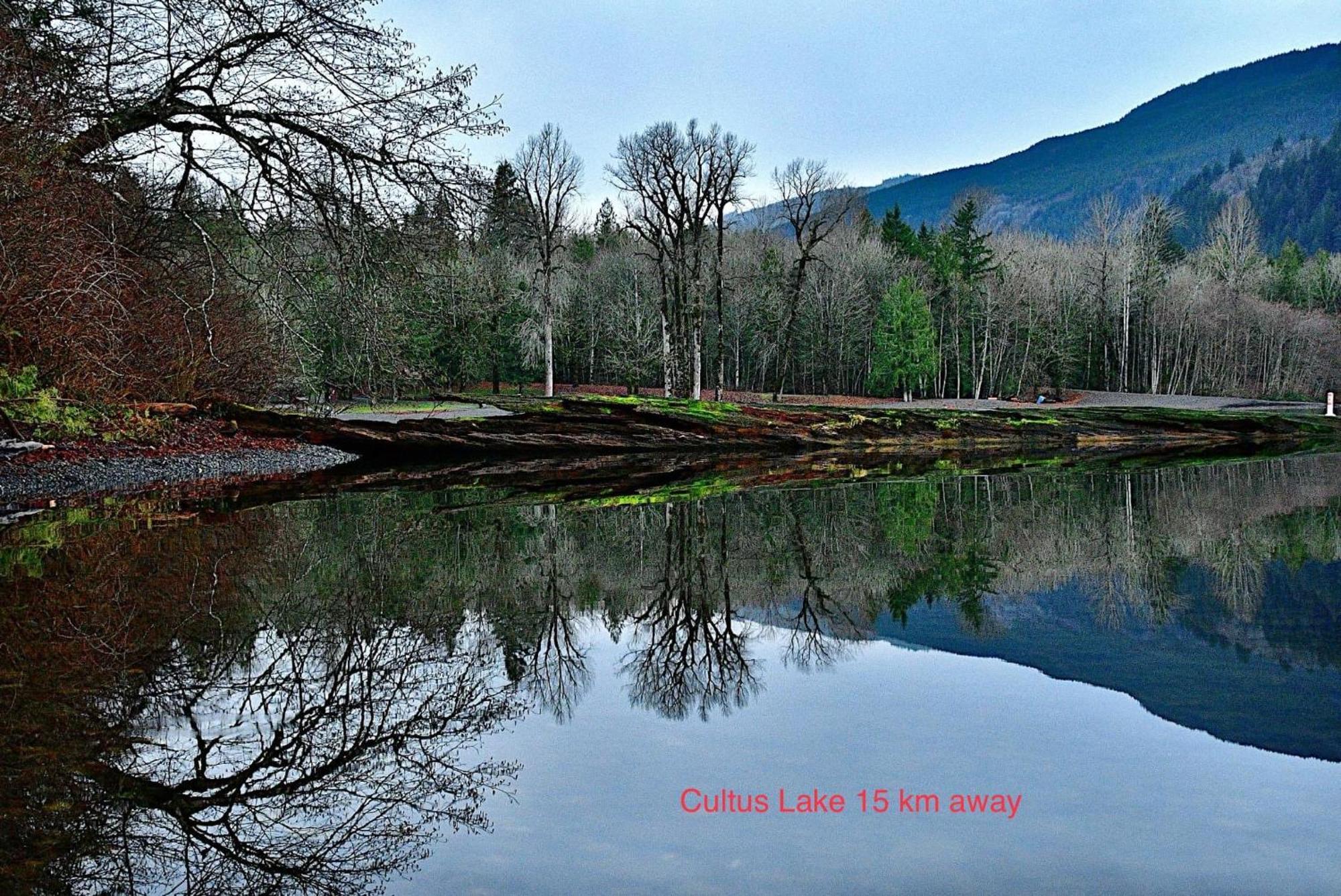 Private 2 Bedrooms Suite Near Hwy 1, Cultus Lake, Heritage Park, Fishing, Coliseum Chilliwack Bagian luar foto